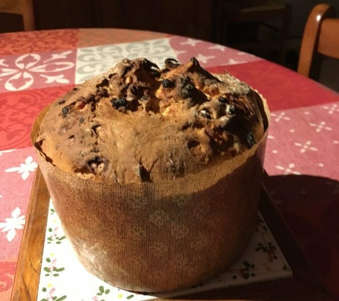Cliquez pour zoomer ! Panettone Thermomix par Nikoleta