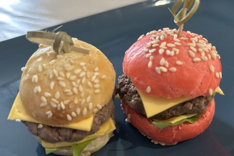 Cliquez pour zoomer ! Mini burgers Thermomix par virge26600