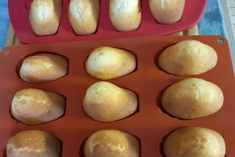 Cliquez pour zoomer ! 20210127_140419