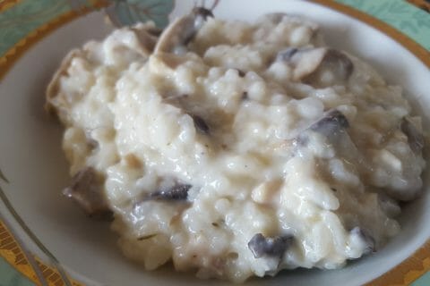 Photos des recettes
