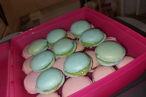 Cliquez pour zoomer ! Photo de angelique_95310