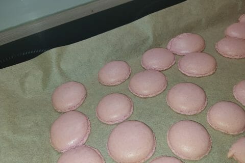 Cliquez pour zoomer ! Macarons Thermomix par angelique_95310