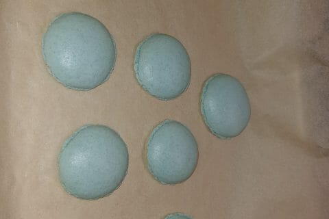 Cliquez pour zoomer ! Macarons Thermomix par angelique_95310