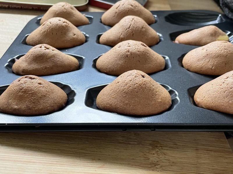Cliquez pour zoomer ! Madeleines Thermomix par Cha