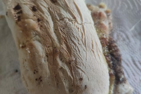 Cliquez pour zoomer ! Panini Thermomix par scipou