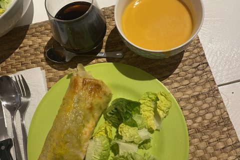 Cliquez pour zoomer ! Brick de saumon et poireaux Thermomix par sandra_215