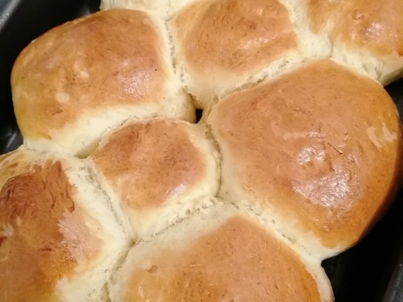 Cliquez pour zoomer ! Brioche Buchty Thermomix par helena91410