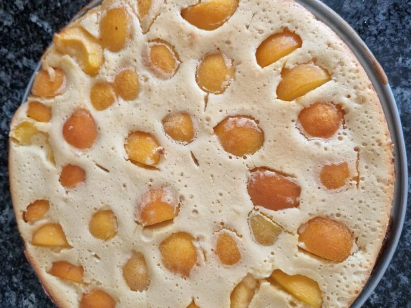 Cliquez pour zoomer ! Far aux abricots Thermomix par isacastel