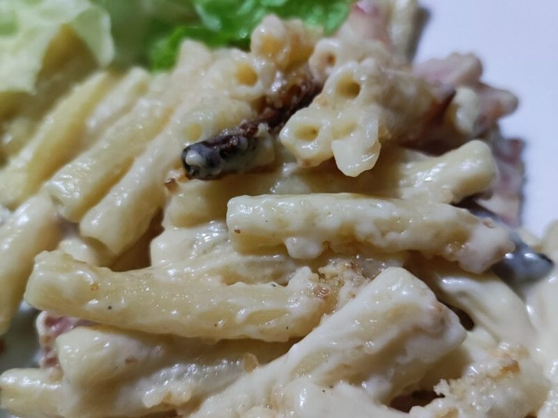 Cliquez pour zoomer ! Mac and cheese Thermomix par natacha.meziere