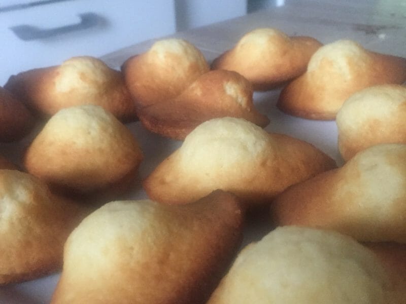 Cliquez pour zoomer ! Madeleines Thermomix par sakina_150966