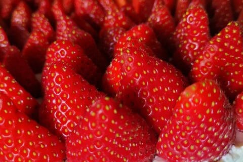 Cliquez pour zoomer ! Tarte aux fraises sans cuisson Thermomix par Olivia36