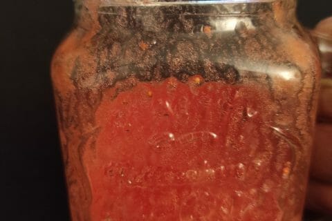 Cliquez pour zoomer ! Smoothie fraise myrtille Thermomix par kamstyle