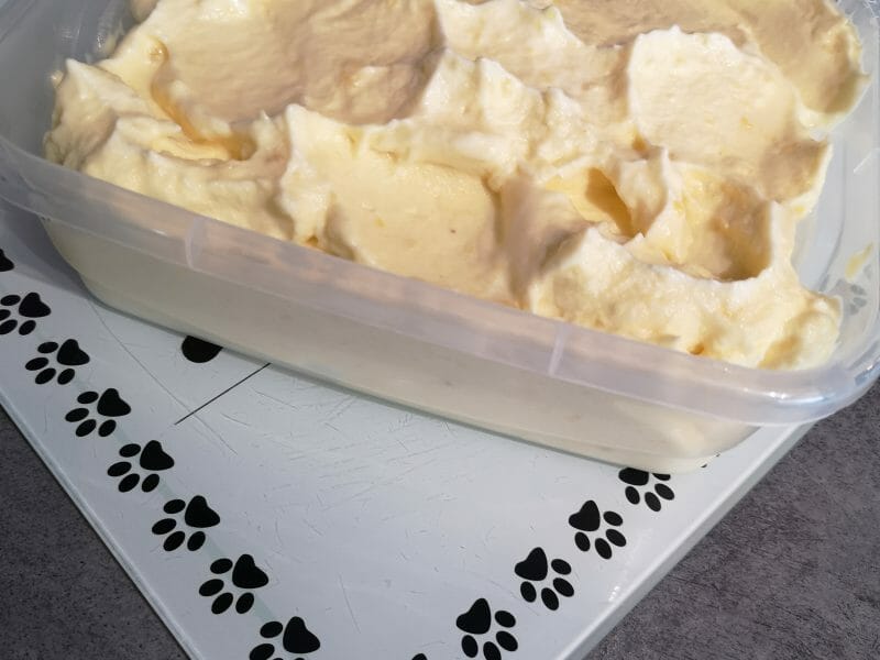 Cliquez pour zoomer ! Sorbet Ananas Thermomix par joanna_28