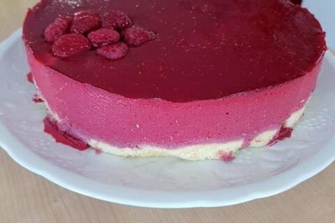 Cliquez pour zoomer ! Bavarois aux framboises Thermomix par didinemix