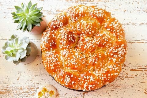 Cliquez pour zoomer ! Brioche Buchty Thermomix par andreasilvana