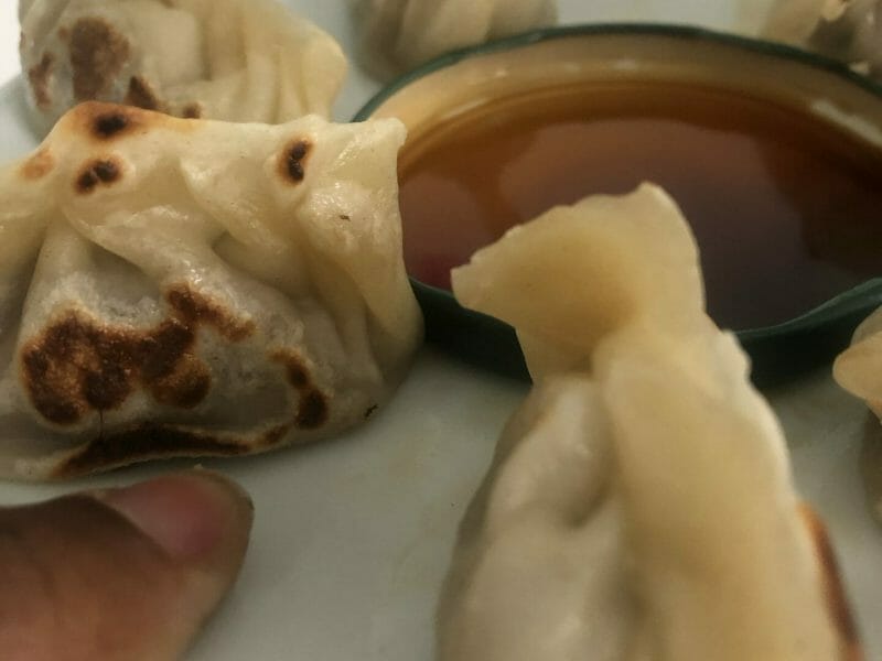 Cliquez pour zoomer ! Gyoza poulet et chou chinois Thermomix par maranatha