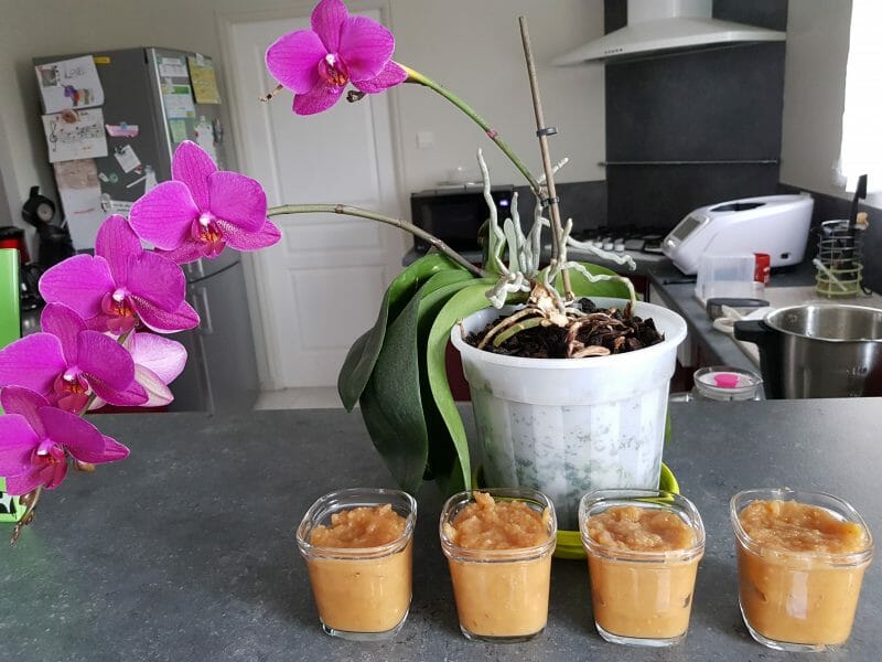 Cliquez pour zoomer ! Compote de pommes, bananes et miel Thermomix par lisacook72