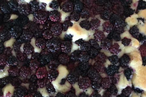 Photos des recettes