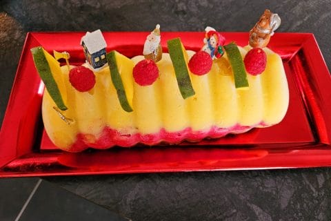 Cliquez pour zoomer ! Bûche glacée mangue et framboise Thermomix par Tibonite