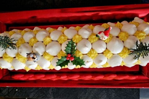 Cliquez pour zoomer ! Bûche au citron meringuée Thermomix par Tibonite