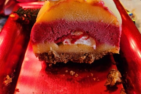 Cliquez pour zoomer ! Bûche glacée mangue et framboise Thermomix par Tibonite