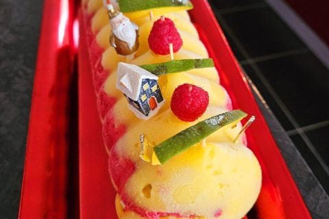 Cliquez pour zoomer ! Bûche glacée mangue et framboise Thermomix par Tibonite