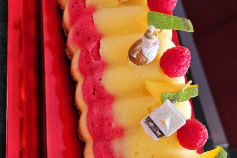 Cliquez pour zoomer ! Bûche glacée mangue et framboise Thermomix par Tibonite