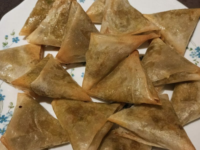 Cliquez pour zoomer ! Samoussa au boeuf Thermomix par amandine24750