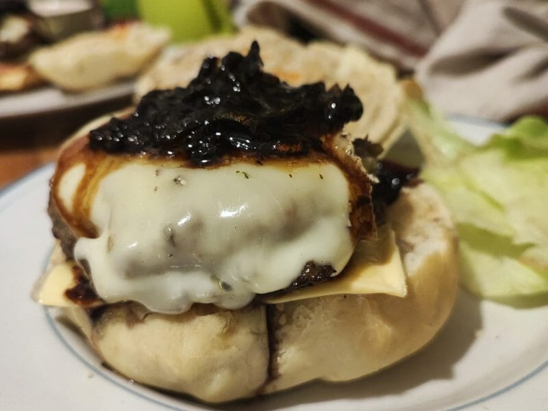 Cliquez pour zoomer ! Pains hamburger Thermomix par Lula