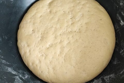 Cliquez pour zoomer ! Pâte à pizza Thermomix par Lula
