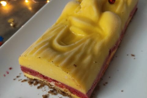 Cliquez pour zoomer ! Bûche glacée mangue et framboise Thermomix par missnat23