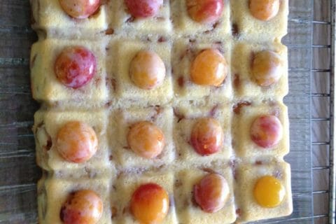 Photos des recettes