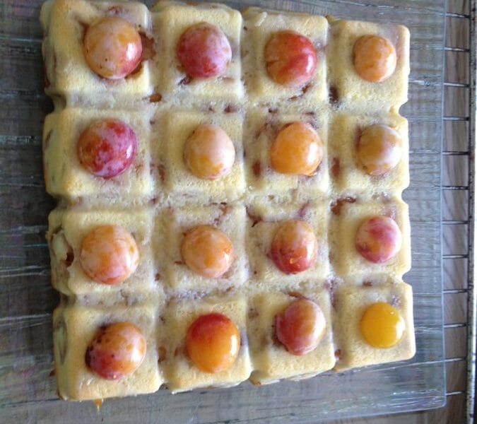 Gateau Lorrain Aux Mirabelles Au Thermomix Cookomix Gateau Lorrain Aux Mirabelles Au Thermomix Cookomix