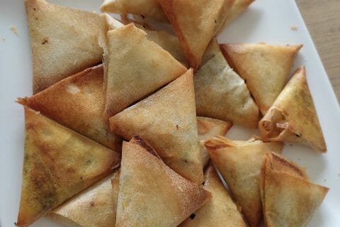 Cliquez pour zoomer ! Samoussa au boeuf Thermomix par nofee