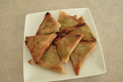 Cliquez pour zoomer ! Samoussa au boeuf Thermomix par nofee