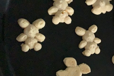 Cliquez pour zoomer ! Photo de Sycret