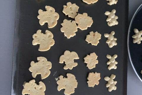 Cliquez pour zoomer ! Photo de Sycret