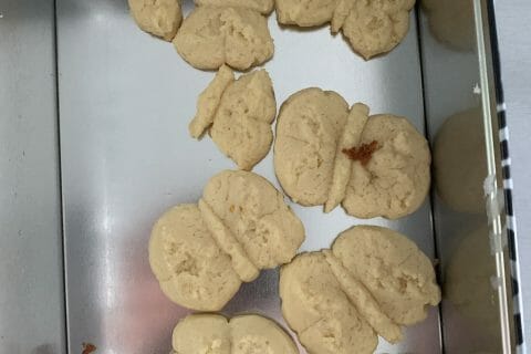 Cliquez pour zoomer ! Photo de Sycret