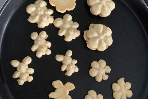 Cliquez pour zoomer ! Photo de Sycret