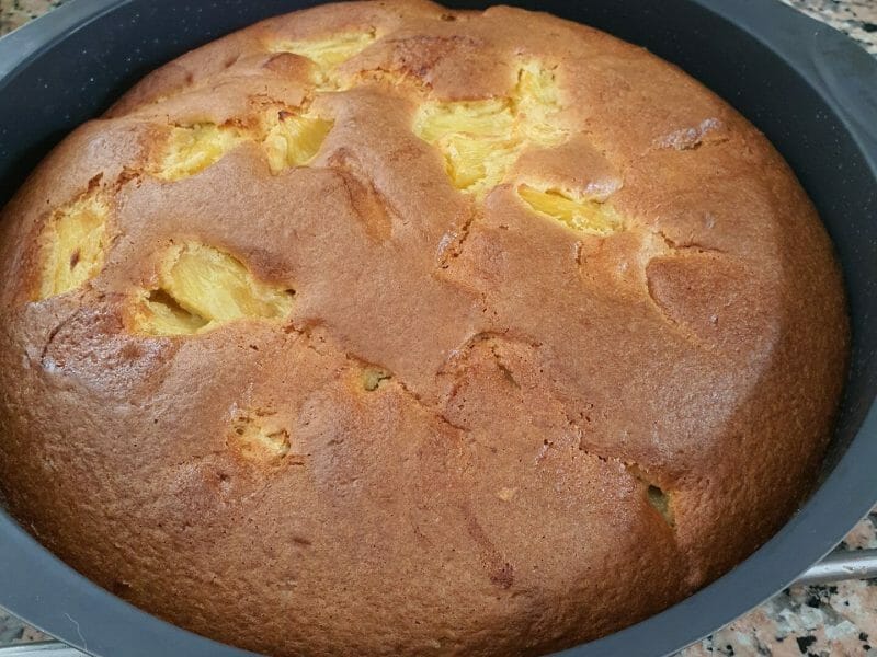 Cliquez pour zoomer ! Gâteau à l’orange Thermomix par carine325