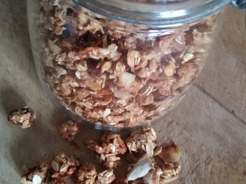 Cliquez pour zoomer ! Granola dattes et banane Thermomix par sabri_5