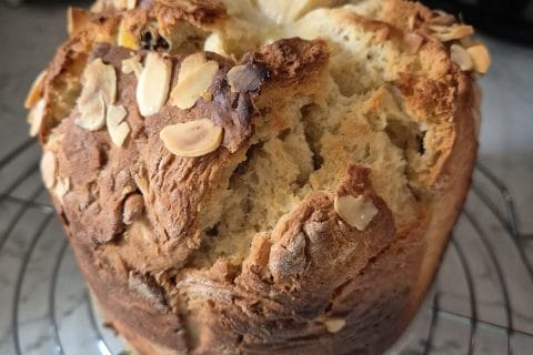 Cliquez pour zoomer ! Panettone Thermomix par mamita49