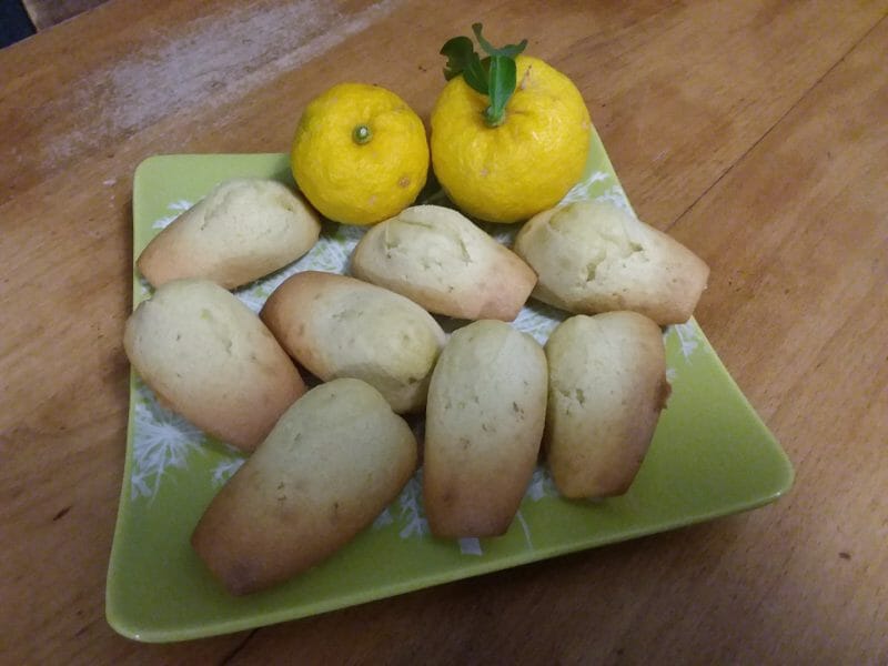 Cliquez pour zoomer ! Madeleines Thermomix par lenatralala