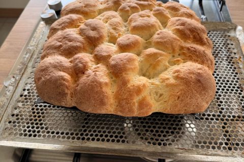 Cliquez pour zoomer ! Photo de healthytinkerbell