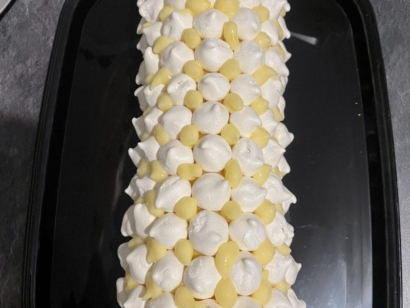 Cliquez pour zoomer ! Bûche au citron meringuée Thermomix par florine_b