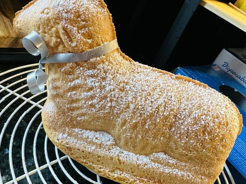 Cliquez pour zoomer ! Lamala (agneau de Pâques) Thermomix par La cuisine d’Elo