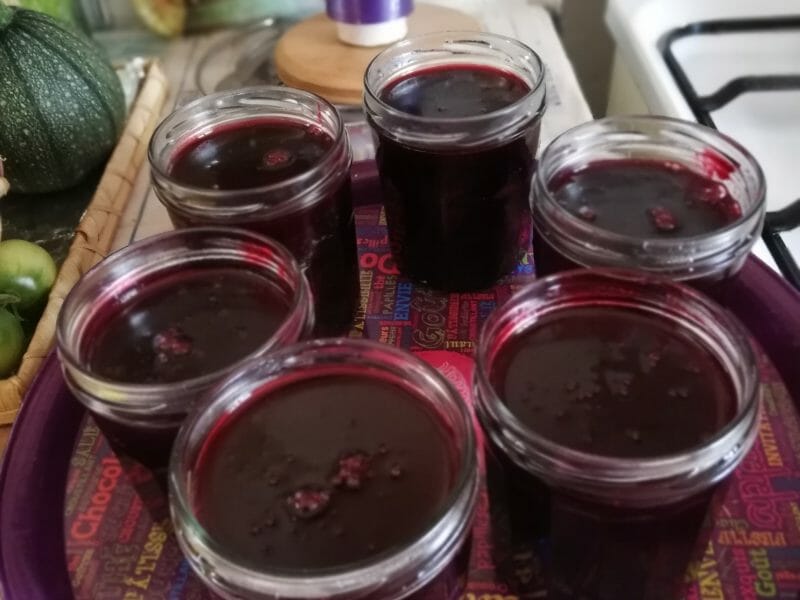 Cliquez pour zoomer ! IMG_20200729_110849 Thermomix par douilly