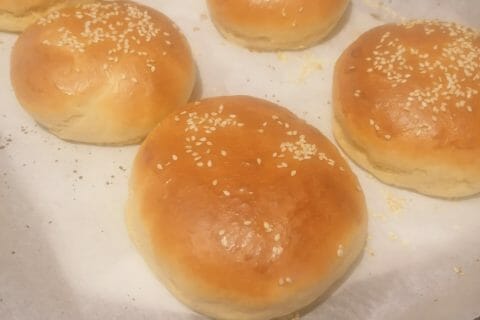 Cliquez pour zoomer ! Pains hamburger Thermomix par pauline43100