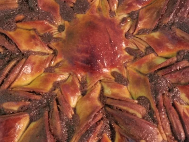 Cliquez pour zoomer ! Brioche étoilée au Nutella Thermomix par pauline43100