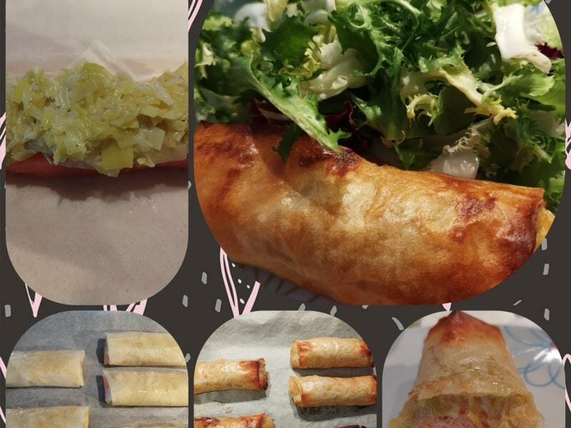 Cliquez pour zoomer ! Brick de saumon et poireaux Thermomix par pauline43100